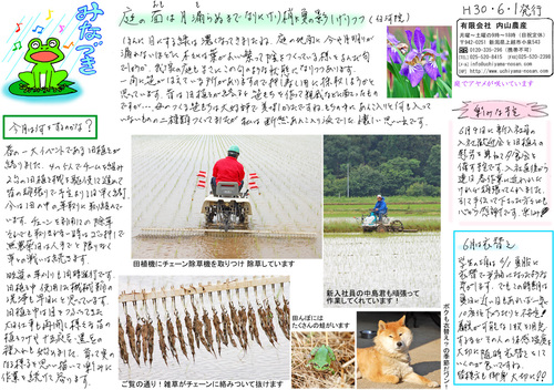 内山農産ニュースレター6月号