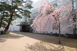 高田図書館