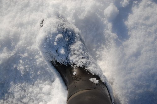 ほわほわで軽い雪