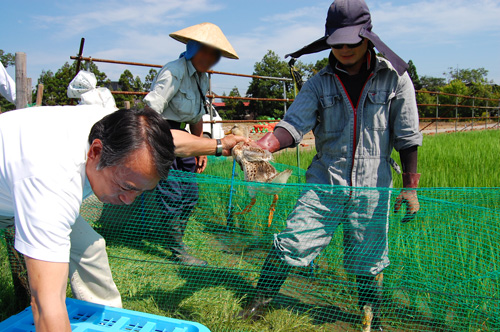 富山でアイガモ農法を実践されている水木護さん