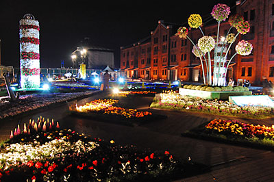 赤レンガ倉庫広場の花畑も輝かしくライトアップ