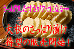 �纬�Τ��äѤ��Ҥ������䳫��