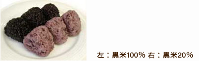 左:黒米100% 右:黒米20%