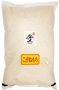 こがねもち(もち米)