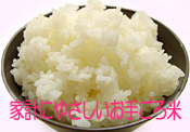 特別栽培米どんとこい