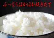 �����Ҥ��ꡡ���̺����ơ������ҥ���
