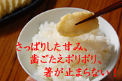 �纬�Τ��äѤ��Ҥ�