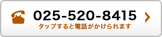 025-520-8415